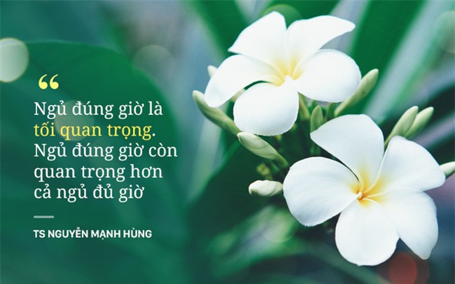 TS Nguyễn Mạnh Hùng: Rất nhiều người đang ngủ sai giờ. Họ không biết đường tới nghĩa địa dần ngắn lại - Ảnh 7.