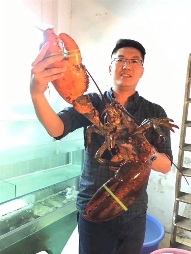 Hà Thành, tôm hùm, đặc sản, hải sản, Hà Nội, Sài Gòn