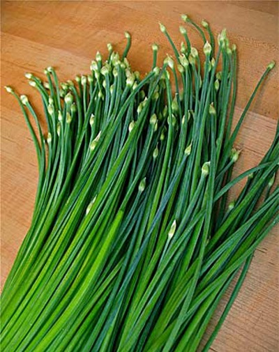 Loại rau được ví như món mặn có nhiều ở Việt Nam: 5 công dụng tuyệt vời - Ảnh 2.