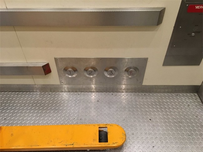 Trí thông minh của con người là vô biên và đây là bằng chứng - Ảnh 8.