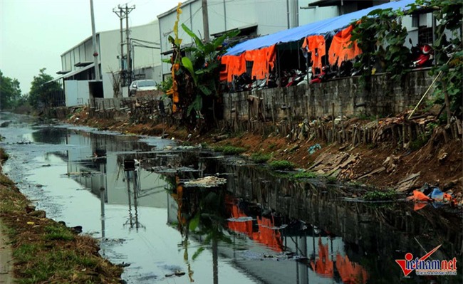 Hà Nội: Tưới rau sống bằng nước thải đen ngòm - Ảnh 2.