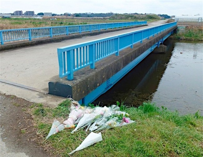 Có người đàn ông khả nghi đi theo sau, cất tiếng gọi bé gái Việt - Ảnh 1.