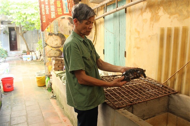 nuoi con tien ty: ngac nhien voi dan rua cam cua lao nong bac ninh hinh anh 1