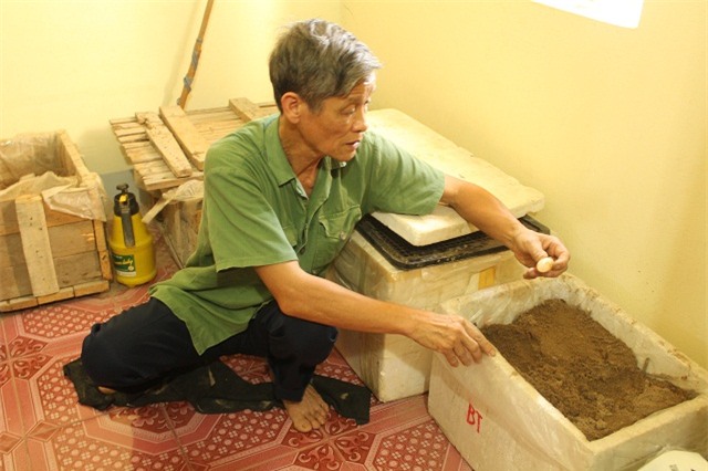 nuoi con tien ty: ngac nhien voi dan rua cam cua lao nong bac ninh hinh anh 3