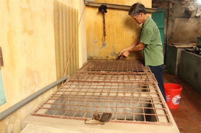 nuoi con tien ty: ngac nhien voi dan rua cam cua lao nong bac ninh hinh anh 5