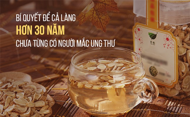 Cả làng 30 năm chưa có người mắc ung thư: Bí quyết nhờ vào một loại thảo dược dân dã