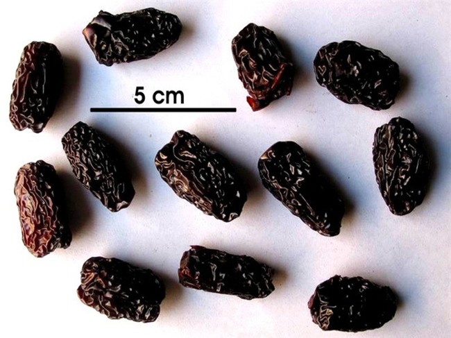 Cả làng 30 năm chưa có người mắc ung thư: Bí quyết nhờ vào một loại thảo dược dân dã - Ảnh 11.