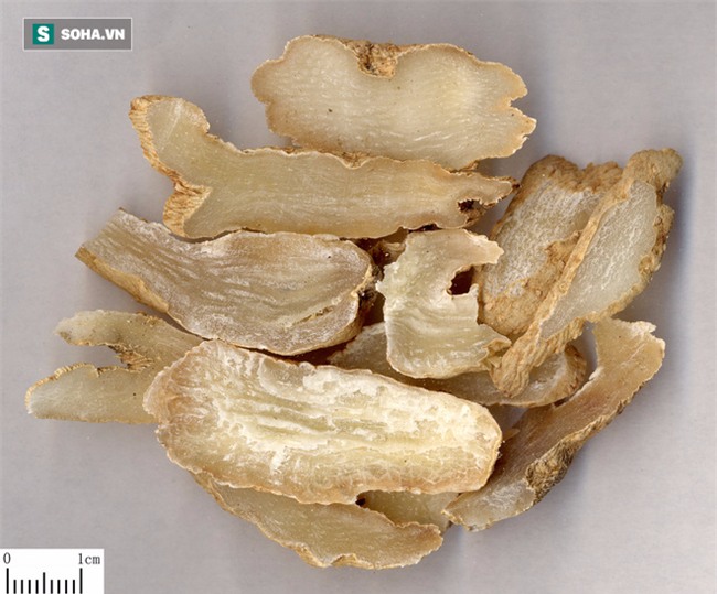 Cả làng 30 năm chưa có người mắc ung thư: Bí quyết nhờ vào một loại thảo dược dân dã - Ảnh 4.