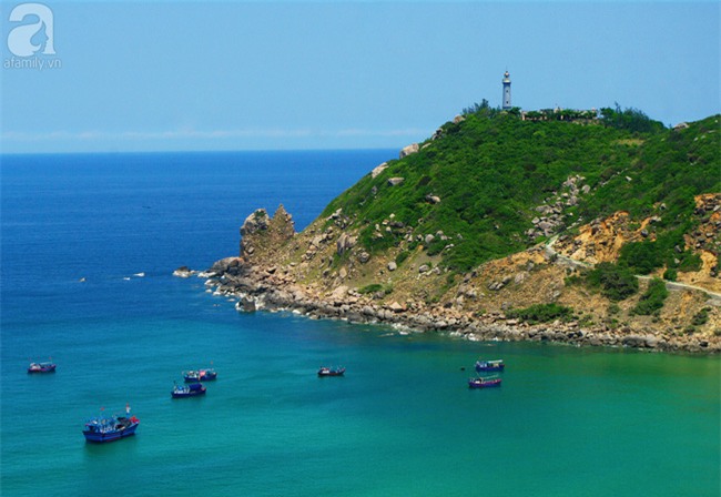 Trong 4 ngày đi trọn Phú Yên, Bình Định theo lịch trình từ A đến Z, cực dễ áp dụng - Ảnh 11.