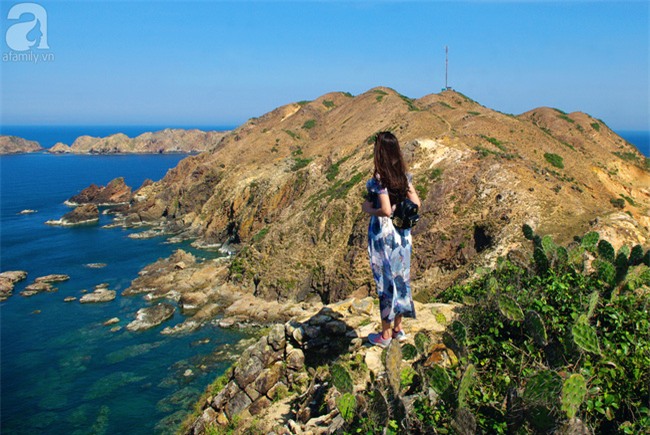 Trong 4 ngày đi trọn Phú Yên, Bình Định theo lịch trình từ A đến Z, cực dễ áp dụng - Ảnh 15.