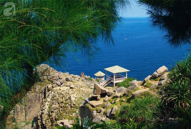 Trong 4 ngày đi trọn Phú Yên, Bình Định theo lịch trình từ A đến Z, cực dễ áp dụng - Ảnh 2.