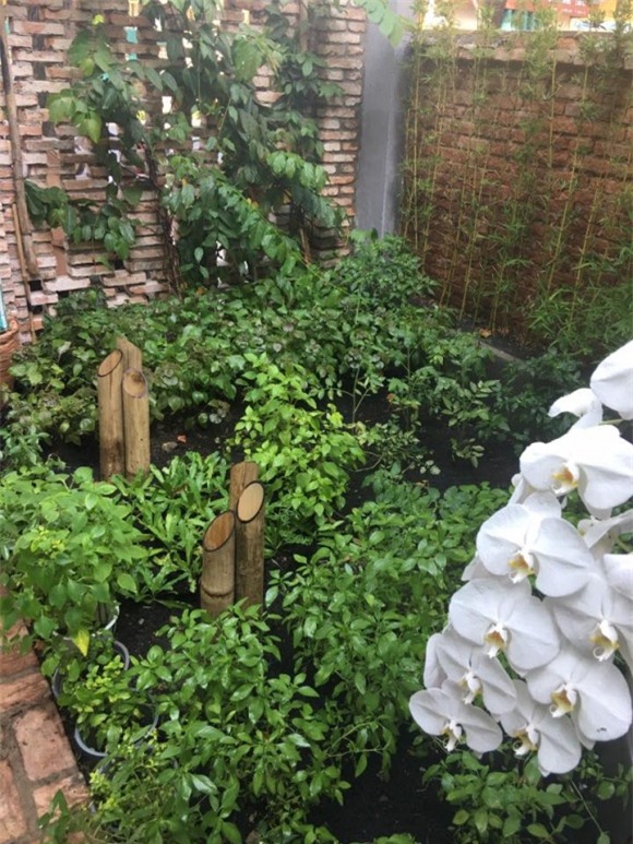 trường giang, danh hài việt, sao việt, khách vô ý thức, Quán cơm của Trường Giang, mười khó