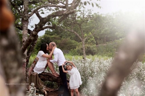 Con dâu phố cổ tiết lộ sự thật về mẹ chồng khiến chị em ghen tị - Ảnh 4.