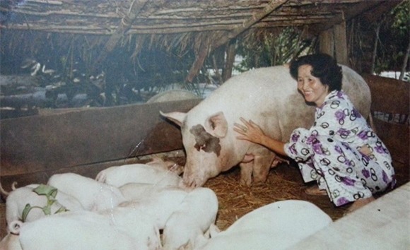 Bố mẹ Hoài Linh: 50 năm sống chung chưa một lần cãi nhau! - Ảnh 3.