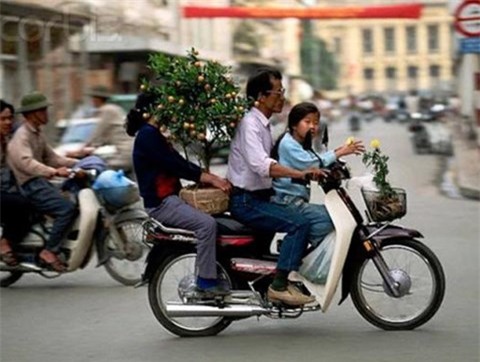 chó Nhật, chó cảnh, nuôi chó, chó mèo,