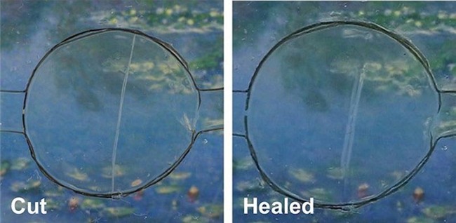 smartphone, màn hình chống xước