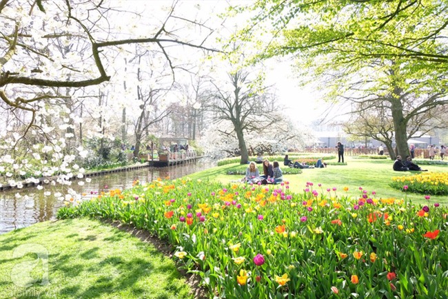 Lạc vào thiên đường hoa 7 triệu bông, một năm chỉ mở cửa một lần - Ảnh 4.