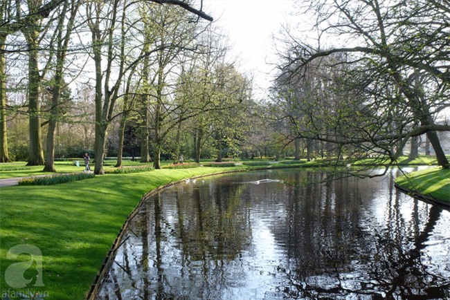 Lạc vào thiên đường hoa 7 triệu bông, một năm chỉ mở cửa một lần - Ảnh 5.