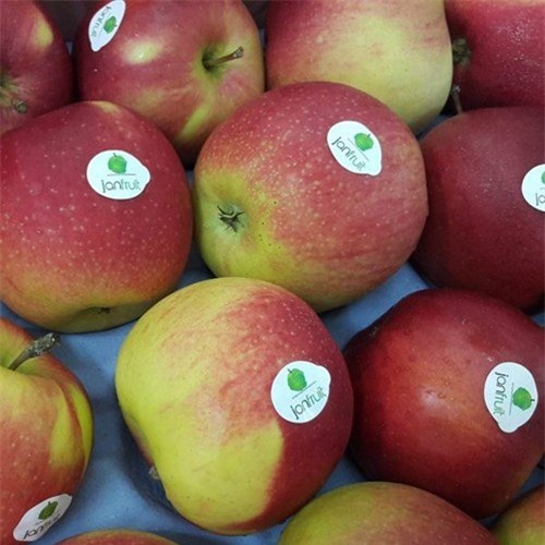 táo nhập khẩu, táo Mỹ, táo Trung Quốc, hàng Tàu, phân biệt, đội lốt