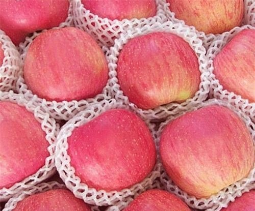 táo nhập khẩu, táo Mỹ, táo Trung Quốc, hàng Tàu, phân biệt, đội lốt