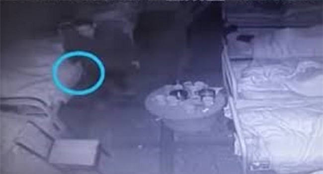 Bệnh viện bất cẩn, đối tượng tâm thần cầm đũa đâm chết 3 người - Ảnh 1.