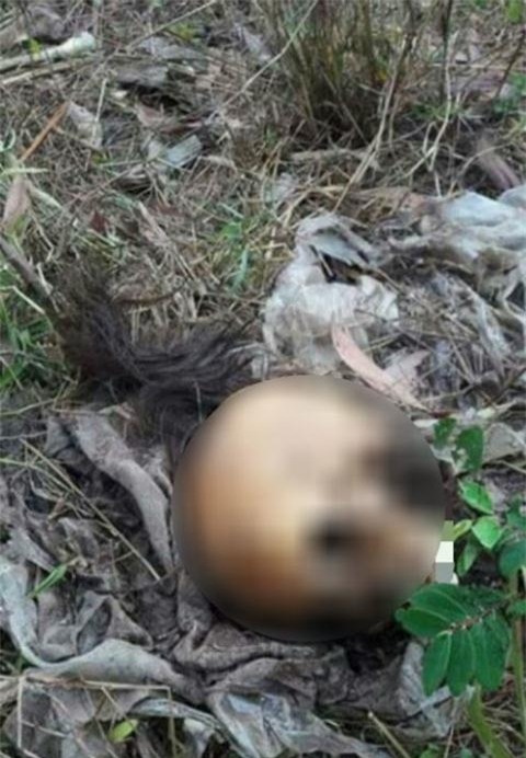 Tinh tiet moi ve thi the nu quan khan tam, toc nhuom