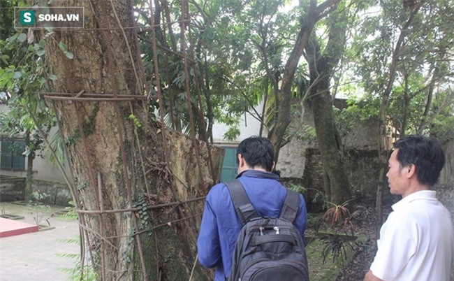 'Đại gia' chi 20,5 tỷ mua gỗ cây sưa ở Hà Nội: