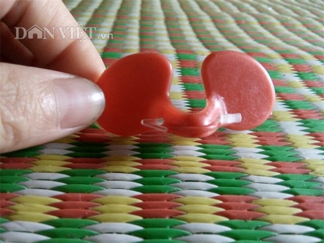 Đeo kính, nuôi chim, chim trĩ, nông dân, tỷ phú, chim trĩ xanh