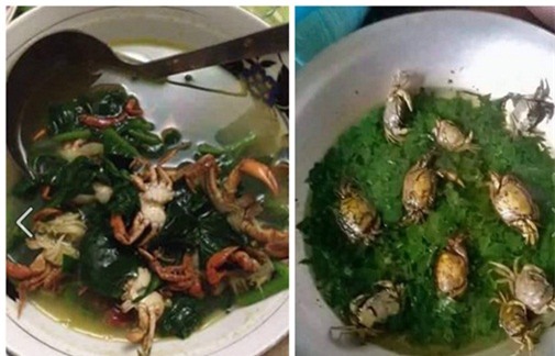 Mẹ chồng dặn giã cua nấu canh, con dâu đảm làm y lời, và đây là kết quả... - Ảnh 4.