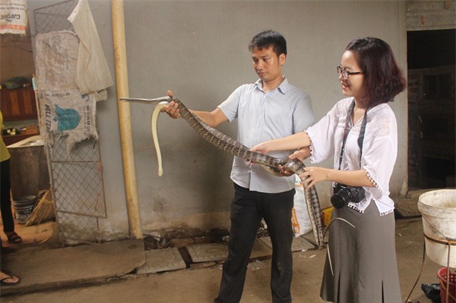 nuoi con tien ty: chang trai tre lam xiec voi dan ran 300 con hinh anh 3