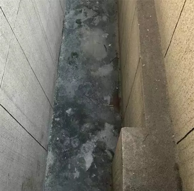 Không ăn được đạp đổ: Tỏ tình bất thành, nam thanh niên thẳng tay đẩy bạn học từ tầng 19 xuống đất - Ảnh 1.