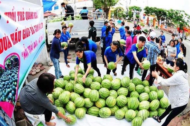 giải cứu dưa dấu, nông sản ế ẩm, được mùa mất giá, dưa hấu Nhật Bản, dưa hấu Quảng Ngãi, dưa hấu