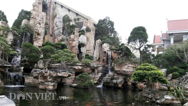 Độc nhất vô nhị, hòn non bộ, đại gia xứ nghệ, cây cảnh, bonsai