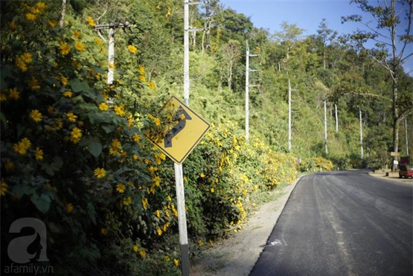 3 điểm du lịch nước ngoài đẹp, dễ đi, hợp túi tiền lại không cần xin visa cho dịp 30/4 - Ảnh 6.