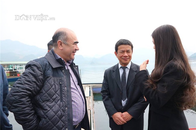 nuôi cá tầm, trứng cá tầm, trứng cá tầm trắng, cá tầm Trung Quốc, cá tầm Việt Nam,