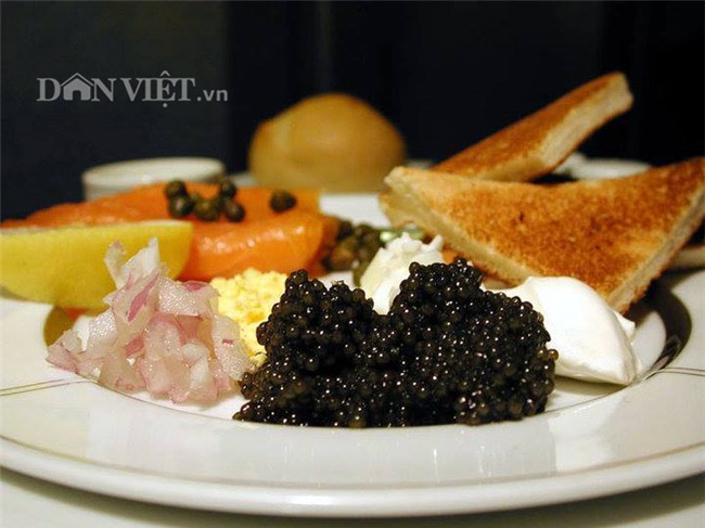 nuôi cá tầm, trứng cá tầm, trứng cá tầm trắng, cá tầm Trung Quốc, cá tầm Việt Nam,