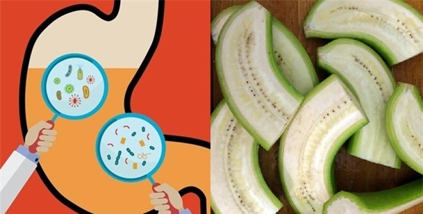 Chuối xanh giúp hệ tiêu hóa của bạn khỏe mạnh