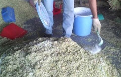 5 loai thuc pham doc hai ngoai cho tuyet doi khong nen mua