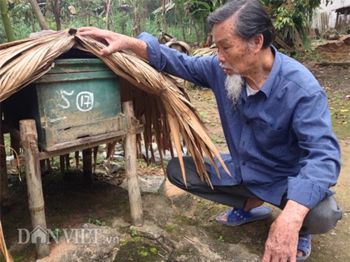 nuoi con tien ty: u80 thu chuc trieu moi thang nho nuoi “con bay” hinh anh 1