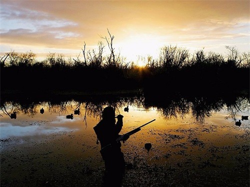 8 loại học bổng kỳ lạ nhất hành tinh - 2