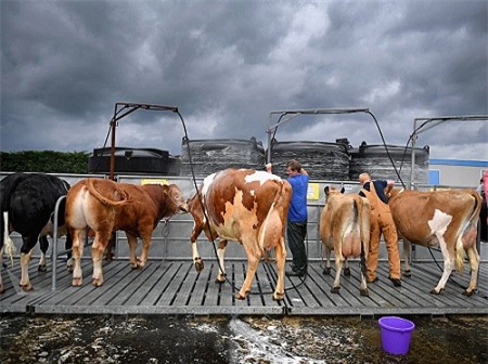 8 loại học bổng kỳ lạ nhất hành tinh - 6