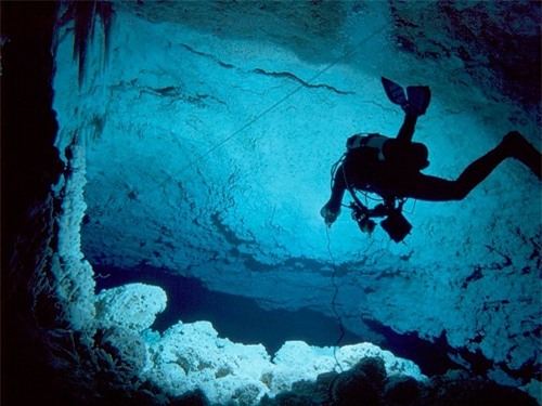 8 loại học bổng kỳ lạ nhất hành tinh - 8