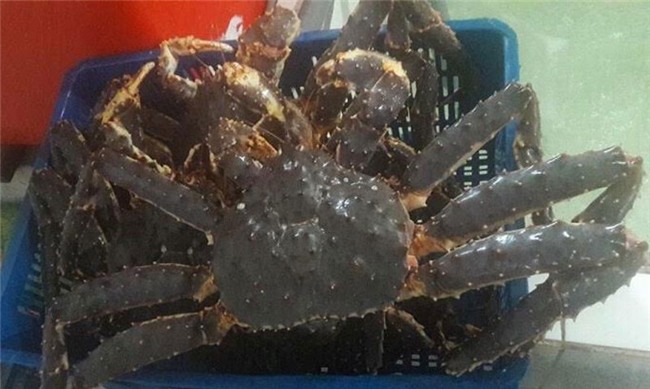 cua hoàng đế, đặc sản nhà giàu, dân giàu Việt, đại gia,