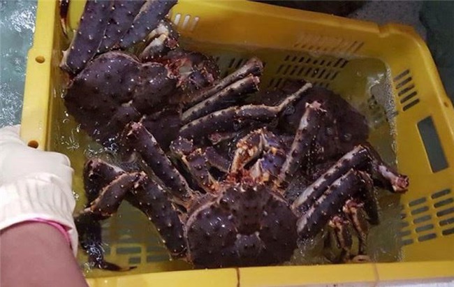 cua hoàng đế, đặc sản nhà giàu, dân giàu Việt, đại gia,