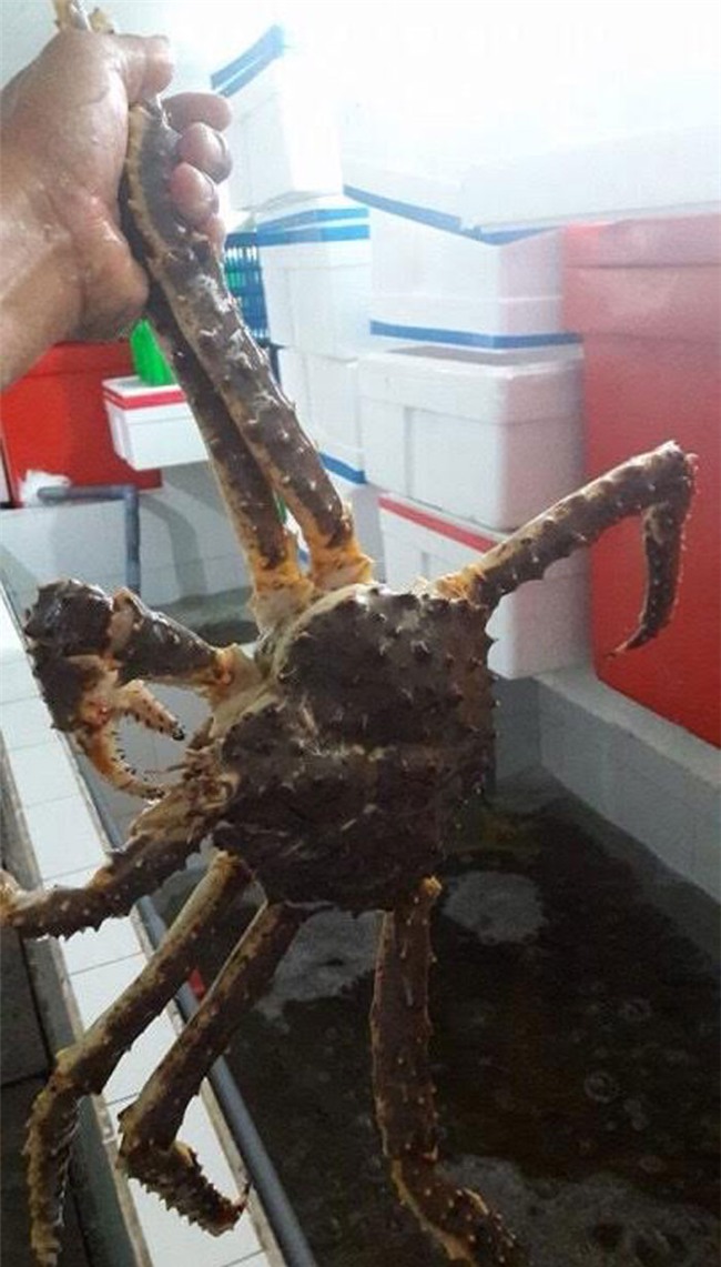 cua hoàng đế, đặc sản nhà giàu, dân giàu Việt, đại gia,