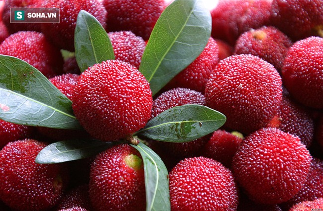 GS Đông y: Nói nhất dáng nhì da, nhưng da xấu thì dáng đẹp cũng không còn đủ tự tin nữa - Ảnh 4.