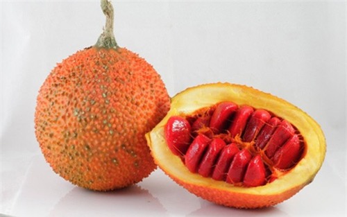 nhung tac dung tuyet voi tu qua gac - 2