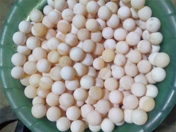 thần dược, thần dược phòng the, món ngon lạ, trứng ba ba