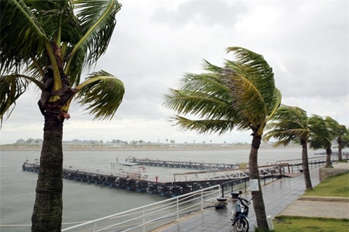 viet nam se hung chiu bao nhieu con bao trong nam 2017? hinh anh 1