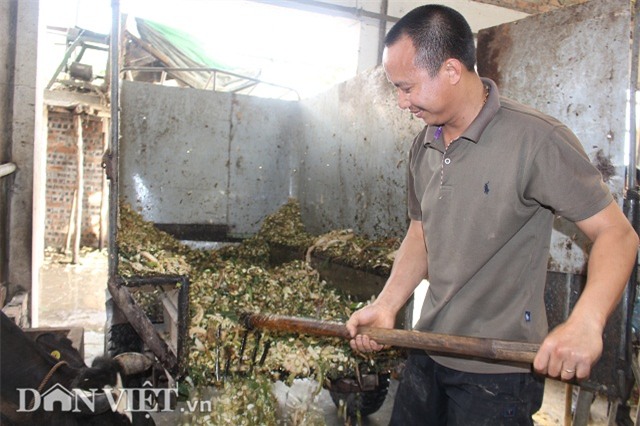 trai kinh bac nuoi 20 bo sua vua lam vua choi lai 2 trieu dong/ngay hinh anh 3